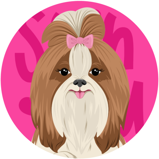 Shih Tzu Educado